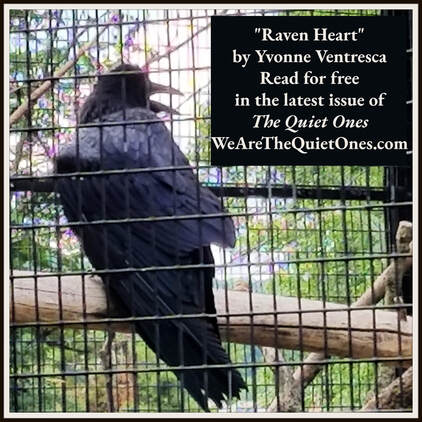 Photo of a caged raven