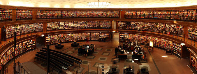 Library with organized books